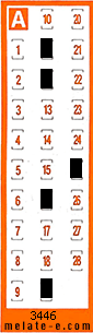 Volante ganador del sorteo 3446 de Chispazo