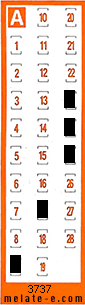Volante ganador del sorteo 3737 de Chispazo