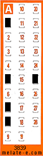 Volante ganador del sorteo 3839 de Chispazo