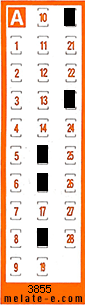 Volante ganador del sorteo 3855 de Chispazo