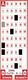Volante ganador del sorteo 2046 de Melate