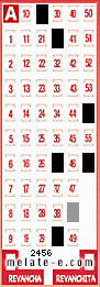 Volante ganador del sorteo 2456 de Melate