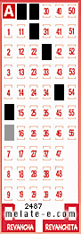 Volante ganador del sorteo 2487 de Melate