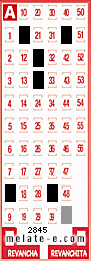 Volante ganador del sorteo 2845 de Melate