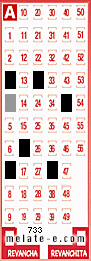 Volante ganador del sorteo 733 de Melate