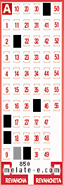 Volante ganador del sorteo 850 de Melate