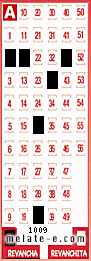 Volante ganador del sorteo 1009 de Revancha