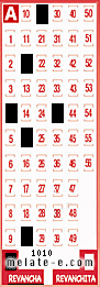 Volante ganador del sorteo 1010 de Revancha