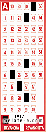 Volante ganador del sorteo 1017 de Revancha