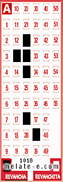 Volante ganador del sorteo 1018 de Revancha