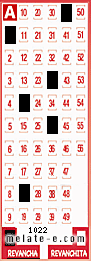 Volante ganador del sorteo 1022 de Revancha