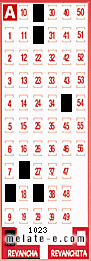 Volante ganador del sorteo 1023 de Revancha