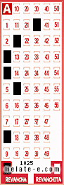 Volante ganador del sorteo 1025 de Revancha
