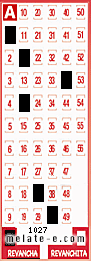 Volante ganador del sorteo 1027 de Revancha