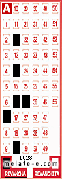Volante ganador del sorteo 1028 de Revancha
