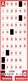 Volante ganador del sorteo 1036 de Revancha