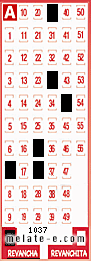 Volante ganador del sorteo 1037 de Revancha