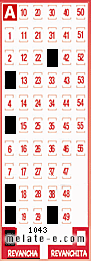 Volante ganador del sorteo 1043 de Revancha