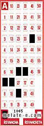 Volante ganador del sorteo 1045 de Revancha