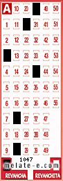 Volante ganador del sorteo 1047 de Revancha