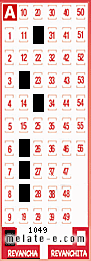 Volante ganador del sorteo 1049 de Revancha