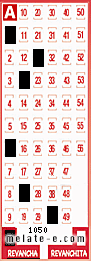 Volante ganador del sorteo 1050 de Revancha