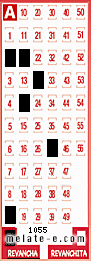 Volante ganador del sorteo 1055 de Revancha