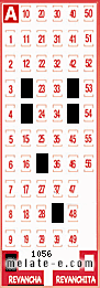 Volante ganador del sorteo 1056 de Revancha