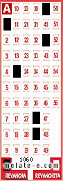 Volante ganador del sorteo 1060 de Revancha