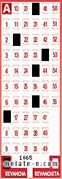 Volante ganador del sorteo 1065 de Revancha