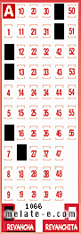 Volante ganador del sorteo 1066 de Revancha