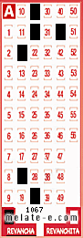 Volante ganador del sorteo 1067 de Revancha