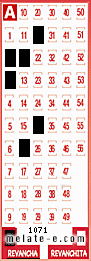 Volante ganador del sorteo 1071 de Revancha
