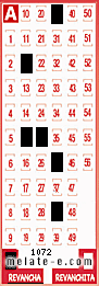 Volante ganador del sorteo 1072 de Revancha