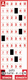 Volante ganador del sorteo 1073 de Revancha