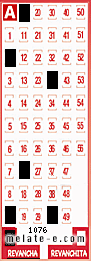 Volante ganador del sorteo 1076 de Revancha