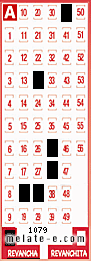 Volante ganador del sorteo 1079 de Revancha