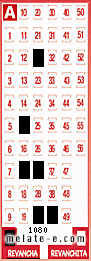 Volante ganador del sorteo 1080 de Revancha