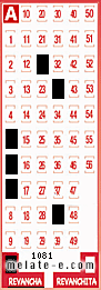 Volante ganador del sorteo 1081 de Revancha