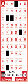 Volante ganador del sorteo 1083 de Revancha