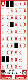 Volante ganador del sorteo 1085 de Revancha