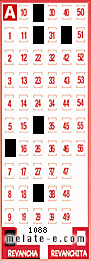 Volante ganador del sorteo 1088 de Revancha