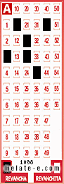 Volante ganador del sorteo 1098 de Revancha