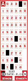 Volante ganador del sorteo 1113 de Revancha