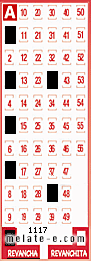 Volante ganador del sorteo 1117 de Revancha