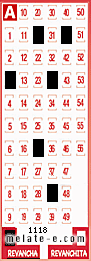 Volante ganador del sorteo 1118 de Revancha