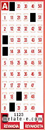 Volante ganador del sorteo 1123 de Revancha