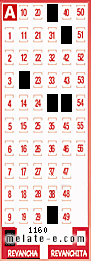 Volante ganador del sorteo 1160 de Revancha