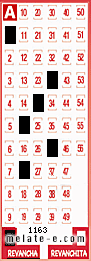 Volante ganador del sorteo 1163 de Revancha