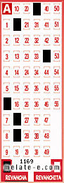 Volante ganador del sorteo 1169 de Revancha